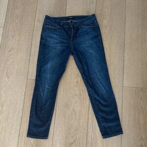 Joe's Jeans Indigo Skinny Denim